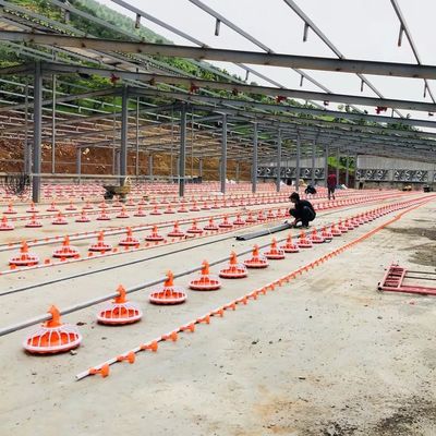 4 Pan / 3m معدات مزرعة الدواجن 380V نظام تغذية أوتوماتيكي