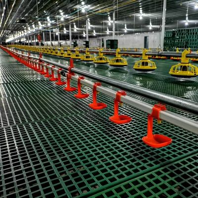45-65 معدات تربية الدجاج اللاحم HX نظام تغذية الدجاج
