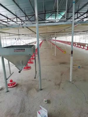 معدات مزرعة الدواجن البلاستيكية 380v 0.75kw آلة تغذية أوتوماتيكية للدواجن