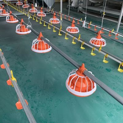 EO Feeding Poultry Farm Equipment نظام التغذية الأوتوماتيكي للدواجن ضمان لمدة سنة