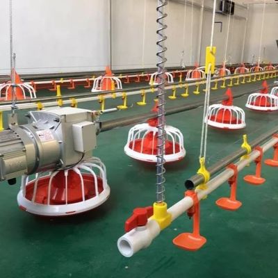 OEM معدات مزرعة الدواجن 30KG التلقائي تغذية الدواجن للفروج