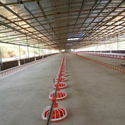14 خط تغذية معدات مزرعة دواجن شبكة 16 شبكة للدجاج
