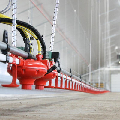 تغذية دواجن المواد البلاستيكية وشارب وقت خدمة طويل