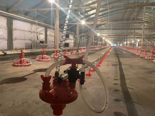 4 Pan / 3m معدات تغذية الدجاج 380v 0.75kw مع جهاز القيادة